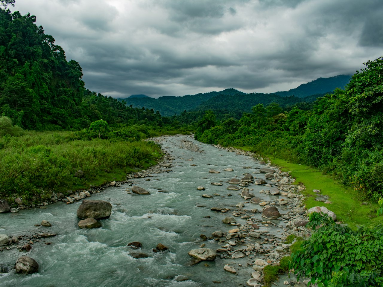 Dooars Wildlife Escape — Jeep safaris, watchtower evenings, and a river under the Bhutan hills