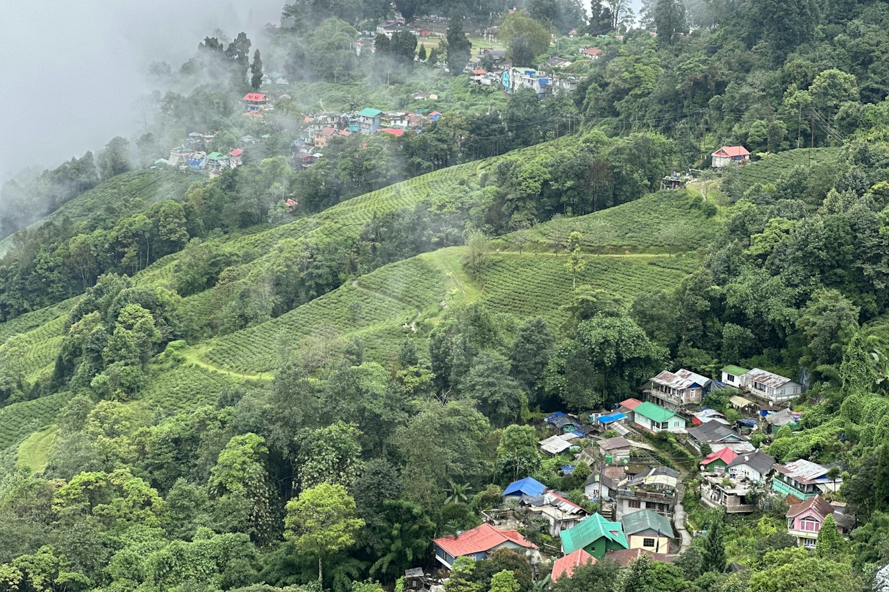 Lava, Loleygaon & Rishop — Cloud forest, a canopy walk, and Kanchenjunga from a quiet ridge